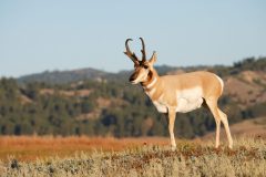 AdobeStock_187916728-1024x683-1