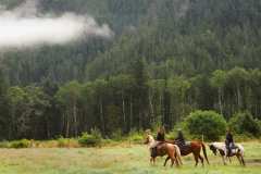 qtq80-yzG26t-1024x780-1